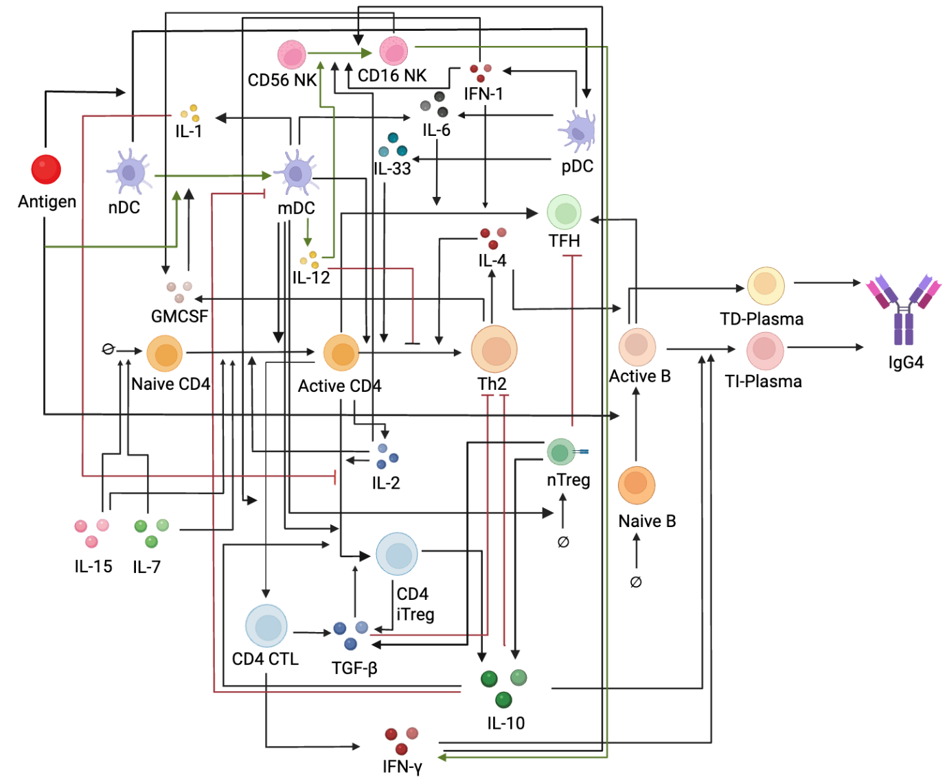work_igg4_graph.png